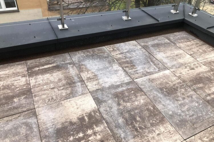 IMG_1811 IMG_1811